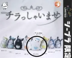 チラっしゃいませ