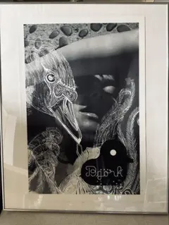 BJRK ビョーク★全世界で250枚限定リトグラフ★日本未発売★デッドストック 2026年最新】ビョーク ポスターの人気アイテム - メルカリ