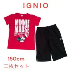 IGNIO 女の子ミニーマウス Tシャツとショートパンツ 150cm 二枚セット