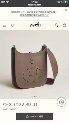 2025年最新】エルメス エブリンpmの人気アイテム - メルカリ