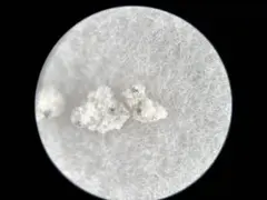 user_8e0c7dd7様 リクエスト 2点 まとめ商品