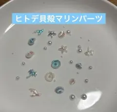 貝殻　マリン　ネイルパーツ　ヒトデ