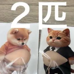 お腹ぷにぷにシール 柴犬 猫 おなかぷくぷくシール 3Dシール 2匹