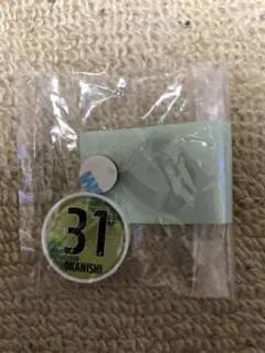 2021ヴァンフォーレ甲府　ボルトキャップ＆マグネット