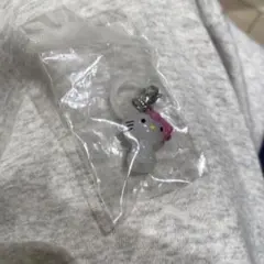 ハローキティめじるしアクセサリー　チャーミーキティー