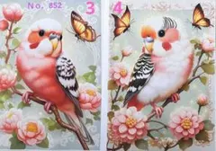 オーダーパネル852 可愛いインコ♥️ブックカバー、フラットポーチ