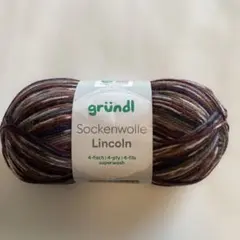 ⭐︎ 1533grundi海外ソックヤーン　中細