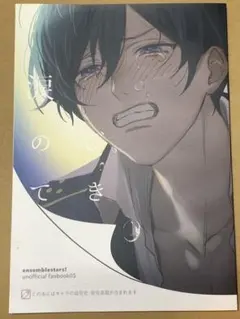 あんさんぶるスターズ 同人誌 涙のてびき　北斗と渉