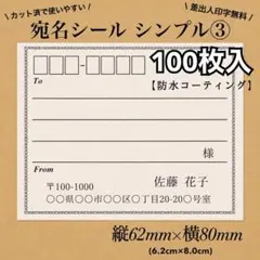 【防水加工】宛名シール シンプル③ Lサイズ　RS-4