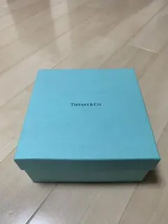 Item thumbnail for item 2f28f28c-fe27-436a-b145-ce2bc3518889