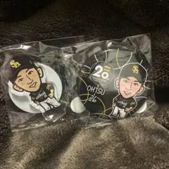 Item thumbnail for item a8790d4c-e3d5-44b9-8f9a-389284b2387f