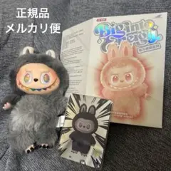 100%公式正規品 ラブブ♡Bigintoenergyシークレット ID本我