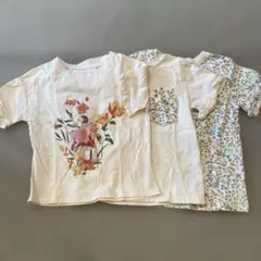 next 半袖Tシャツ104 3枚