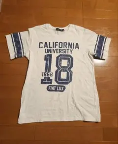 カリフォルニア大学 Tシャツ　ホワイト