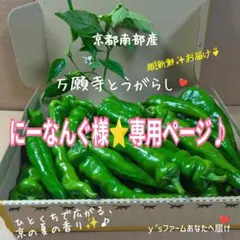 にーなんぐ様⭐️専用ページ♪