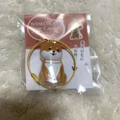 わんこのタイムカプセル 柴犬