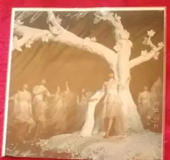 Item thumbnail for item 67687f01-bfab-44fc-bc24-8b43883788ad