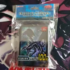 遊戯王 デュエリストカードプロテクター 真紅眼の黒竜 100枚入 - メルカリ