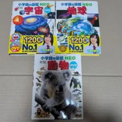 小学館の図鑑NEO 宇宙 地球 動物 3冊セット