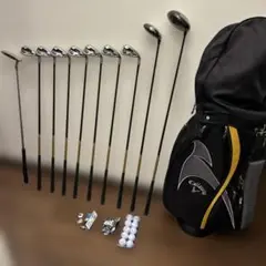キャロウェイ　ウォーバード　メンズR １０本　右利き　ゴルフセット