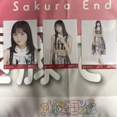 乃木坂46 生写真 ごめんねFingers crossed 遠藤さくら コンプ - メルカリ