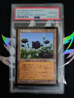 MTG 水蓮の谷間 日本語版 PSA10 MTG 水蓮の谷間 日本語版 PSA10 - メルカリ