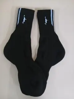 インザペイントバスケソックスメンズ2足セット正規品