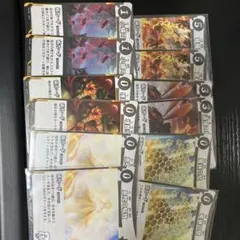 蟲神器 汎用術12枚セット