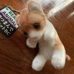 2026年最新】リアルアニマル猫つまんでマスコットBCの人気アイテム