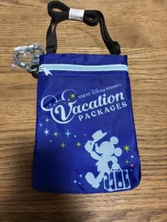 【非売品】ディズニー 40周年 バケーションパッケージ ショルダーバッグ 限定