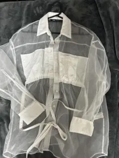 ZARA シースルー長袖シャツ