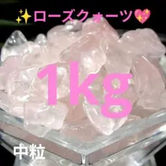 nyanya28282000様 リクエスト 2点 まとめ商品