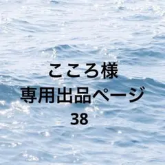 こころ様専用出品ページ38
