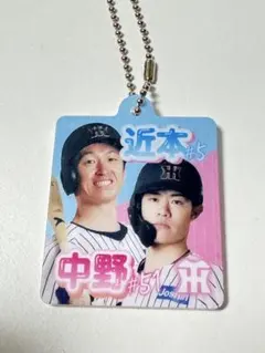 阪神タイガース シークレット スマホ型アクリルチャーム 伊藤投手&い岩