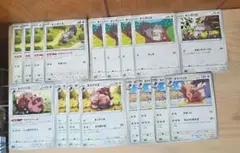 N122 ホシガリス ヨクバリス 進化ライン ポケモンカード ポケカ