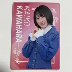 Item thumbnail for item 4b78e3c2-5489-4366-a0df-0a19ae408117