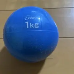 Xystus 1kg エクササイズボール
