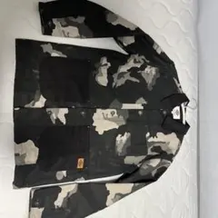 Item thumbnail for item e0040647-5a12-440e-a608-dd06126d6b0c