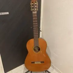 2026年最新】FERNANDES GC 20の人気アイテム - メルカリ