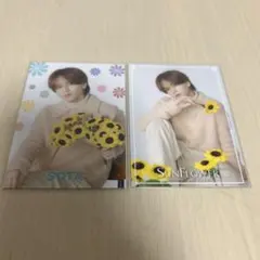 fantastics SUNFLOWER フォトカード 中島颯太 2枚 ノーマル