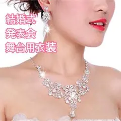 ゴージャス ネックレス ピアス セット 舞台用 結婚式 発表会 ハロウィン