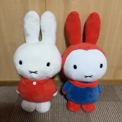 Item thumbnail for item ad8fa0ef-180f-4abd-b20e-fa630aad4249