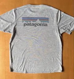 早い物勝ち パタゴニア キャプリーン Tシャツ Mサイズ