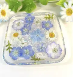 No.68 癒しのグリーン系✨キャッシュトレイ♡固まるハーバリウム No.68 癒しのグリーン系✨キャッシュトレイ♡固まるハーバリウム