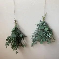 フレッシュ　ユーカリ　スワッグ 三つ