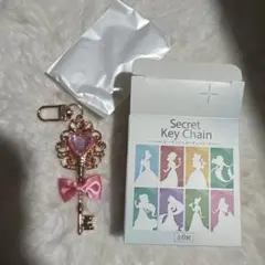ディズニー プリンセス シークレット キーチェーン