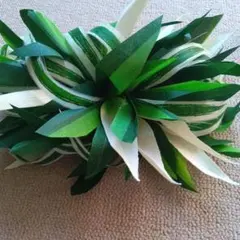 フラダンス髪飾り 緑と白の葉