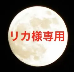 TVアニメ 呪術廻戦 もちぴこマスコット2 全3種 ×8