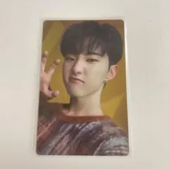 SEVENTEEN ホシ あいのちから 特典