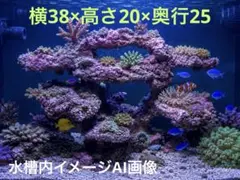 2026年最新】ライブロックレプリカの人気アイテム - メルカリ